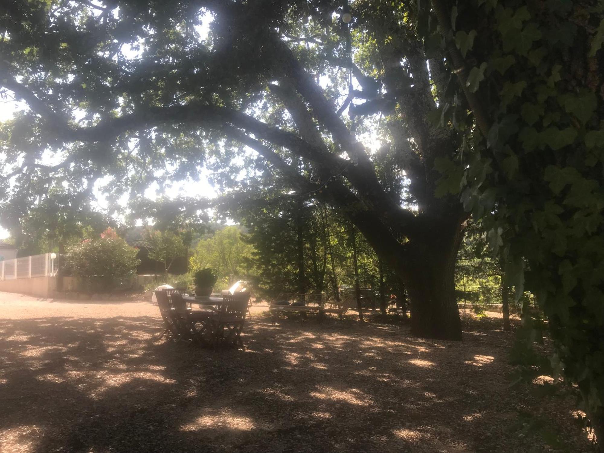 Gites Le Mas Du Vieux Chene Salavas Esterno foto